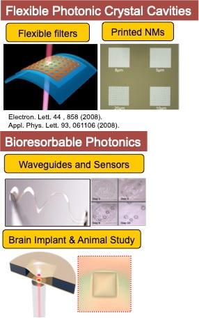 Flexible and Bioresorbable Photonics